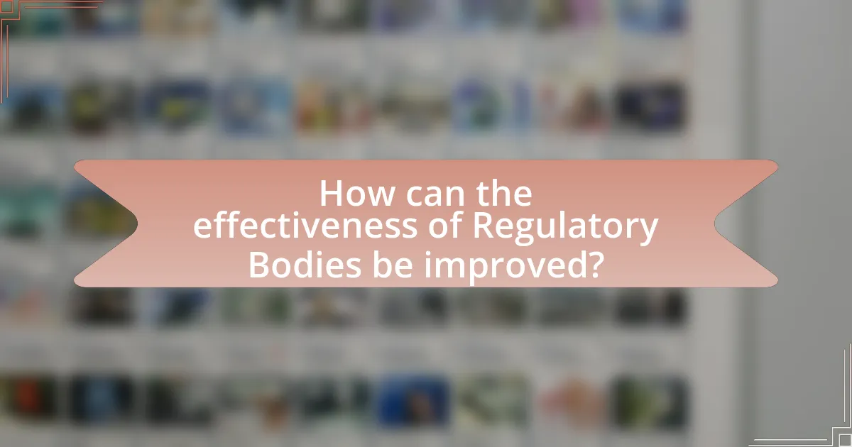 How can the effectiveness of Regulatory Bodies be improved?