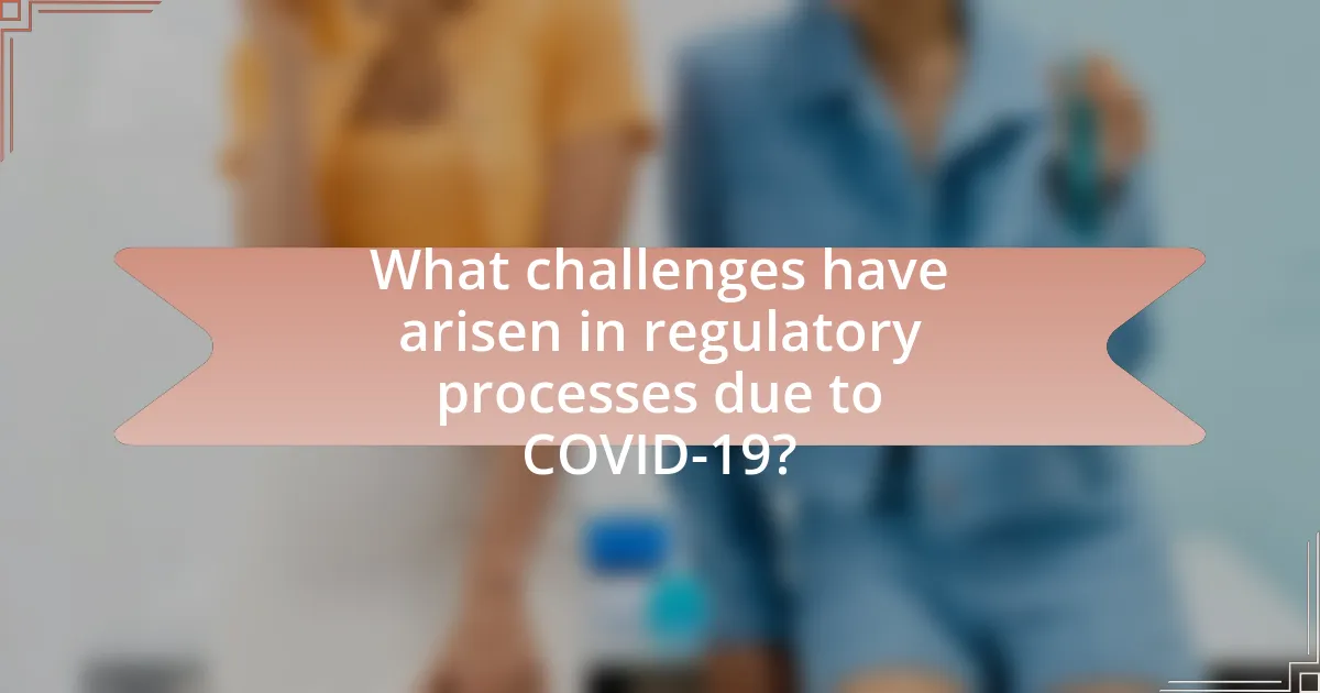 What challenges have arisen in regulatory processes due to COVID-19?